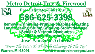 Tree Service Metro Detroit Tree & Firewood in Warren MI