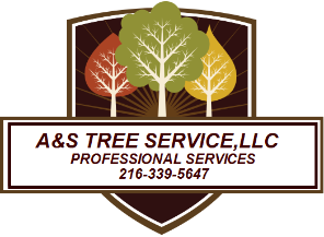 Tree Service A & S Tree Service LLC in Cleveland OH