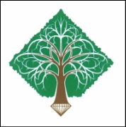 Tree Service Diamond Tree Company in Fort Collins CO