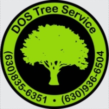 DOS Tree Service