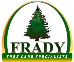 Tree Service Frady Tree Care in Salisbury 