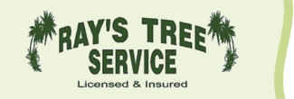 Tree Service Ray's Tree Service in Sanford 