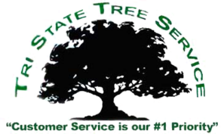 Tree Service Tri State Tree Service in Pensacola FL