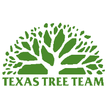 Tree Service Texas Tree Team in Houston TX