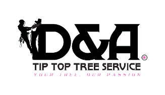 D & A Tip Top Tree Service LLC