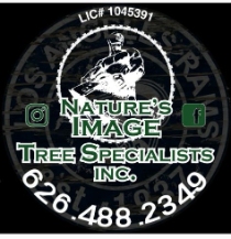 Tree Service Nature's Image Tree Specialists Inc. in Arcadia CA