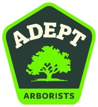 Tree Service Adept Arborists LLC in Temple TX