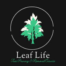Tree Service Leaf Life Tree Service Co. in Aurora CO