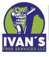 Tree Service Ivan's Tree Services, LLC in Hyattsville MD