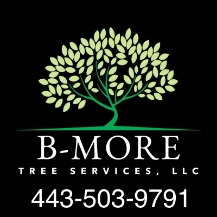B-More Tree Services, LLC