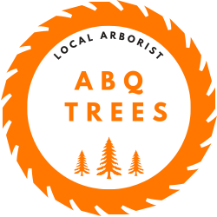 Tree Service Albuquerque Tree Services in Albuquerque NM
