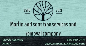 Tree Service Martin and sons in Knoxville TN