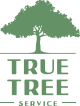 Tree Service True Tree Service in Miami FL