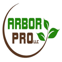 Tree Service Arbor Pro, LLC in Tampa FL
