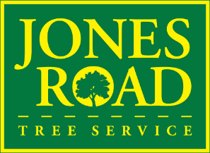 Tree Service Jones Road Tree Service in Houston TX