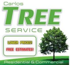 Tree Service Carlos Tree Service in Ocala FL