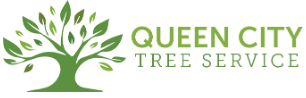 Tree Service Queen City Tree Service LLC in Charlotte NC
