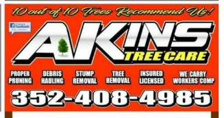 Tree Service Akins Tree Care LLC in Eustis FL