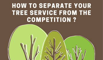 How to separate your tree service from the competition?