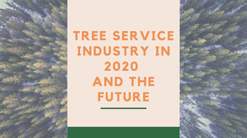 Tree Service Industry in 2020 and the Future