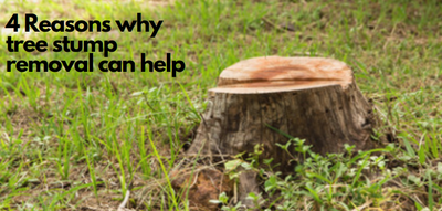4 Reasons why tree stump removal can help