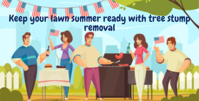How to keep your lawn summer ready with tree stump  removal...
