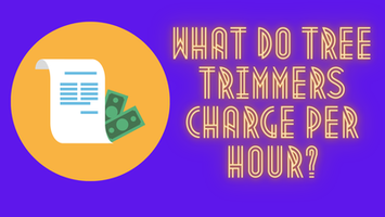 What do tree trimmers charge per hour?