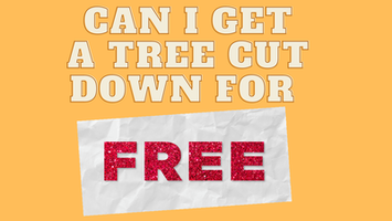 Can I get a tree cut down for free?