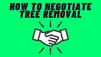 How to negotiate tree removal? 10 Tips (2021)