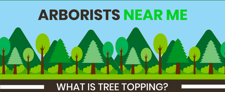 WHAT IS TREE TOPPING?