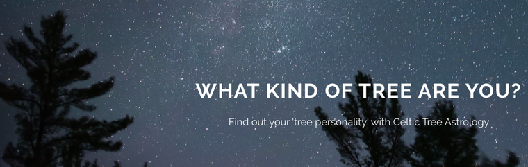 EVER WONDER WHAT KIND OF TREE YOU ARE?