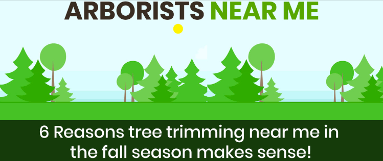 6 Reasons tree trimming near me in the fall season makes sense!