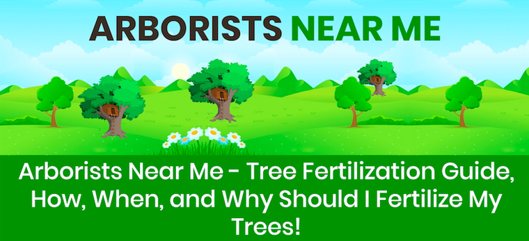 Arborists Near Me - Tree Fertilization Guide, How, When, and Why Should I Fertilize My Trees!