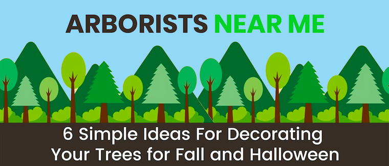 6 Simple Ideas For Decorating Your Trees for Fall and Halloween