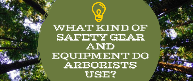 What Kind of Safety Gear and Equipment Do Arborists Use?
