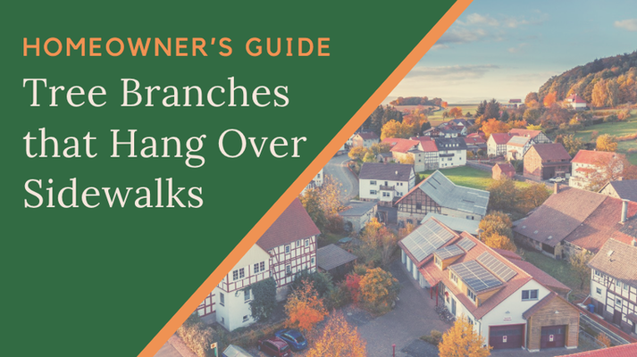 Homeowner’s Guide - Tree Branches that Hang Over Sidewalks