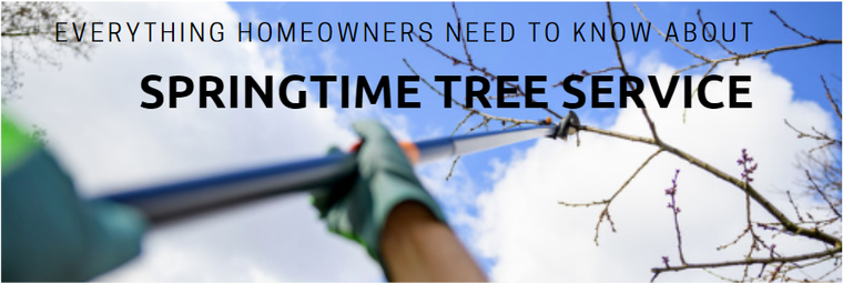 Everything homeowner's need to know about Spring tree trimming...