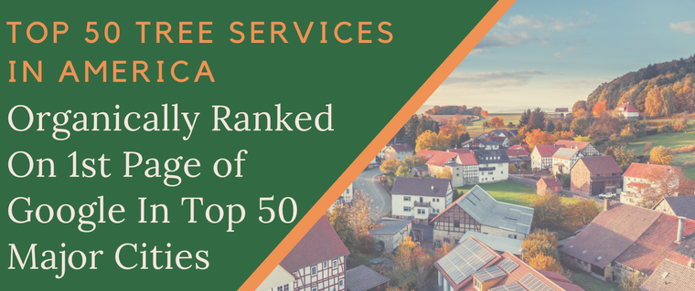 Top 50 Tree Services in America - Organically Ranked On 1st Page of Google In Top 50 Major Cities