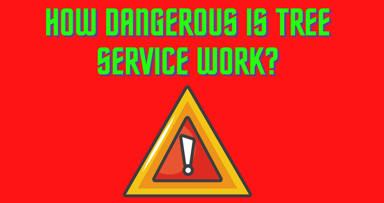 How dangerous is tree service work?