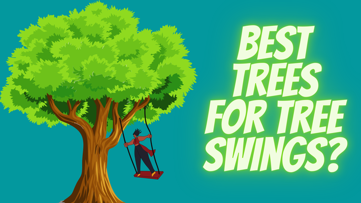 Best trees for tree swings?