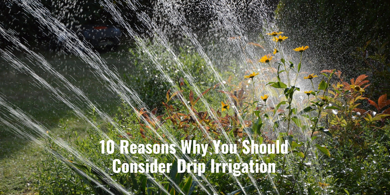 10 Reasons Why You Should Consider Drip Irrigation